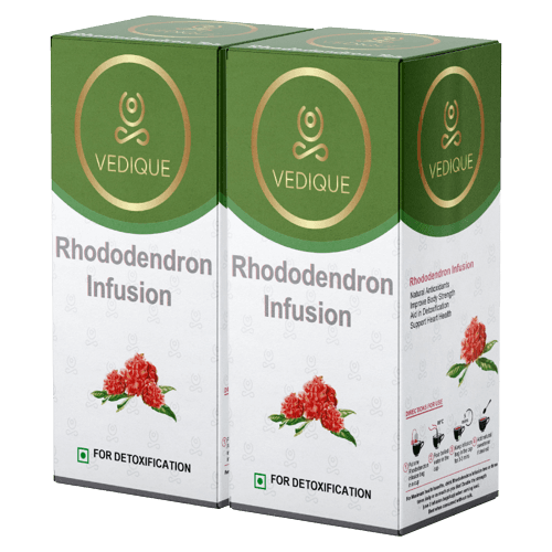 Rhododendron Healing Infusion